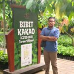 Bimbel UTBK SNBT